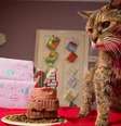 <p>Poppy foi enterrada no jardim da casa de seus donos, na Inglaterra</p>  Foto: Twitter
