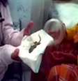 <p>Um lagarto teria nascido no lugar de um bebê na Indonésia</p>  Foto: Youtube / Reprodução