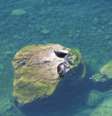 <p>Ilha Olkhon</p>  Foto: Sandro Fernandes / Especial para Terra