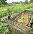 A compostagem transforma lixo orgânico em adubo, e ajuda restaurantes e pousadas a diminuir o impacto ambiental de seus detritos, ao mesmo tempo em que economiza com insumos para hortas e jardins  Foto: Shutterstock