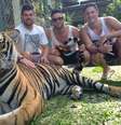 <p>Selfies ao lado de tigres podem ser proibidas em Nova York</p>  Foto: Facebook / Reprodução