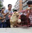 <p>Ativistas compram cães na tentativa de impedir que eles sejam adquiridos por pessoas que planejam abatê-los para o consumo durante o festival de Yulin, em 20 de junho </p>  Foto: Reuters