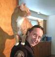 <p>Gato da família estava assustado e subiu nos ombros da policial, durante a revista da casa. Ele não quis descer até os oficiais irem embora</p>  Foto: Mirror / Reprodução
