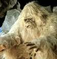 <p>Yeti é o nome dado a uma criatura lendária que supostamente vive na região do Himalaia. O Pé Grande viveria nos EUA</p>  Foto: Wanida / Wikimedia