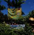 Torcedoras entraram em arbusto e se penduraram em grade na expectativa de ver jogadores da Seleção na piscina  Foto: Celso Paiva / Terra