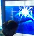<p>O susto foi tão grande que a mulher tropeçou e caiu no chão</p>  Foto: Youtube