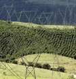 <p>Conta de luz pode ficar mais cara</p>  Foto: Paulo Whitaker / Reuters