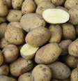 <p>Batata-inglesa teve variação mensal de -11,46%</p>  Foto: Getty Images 