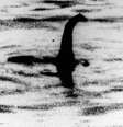 <p>Suposta imagem do monstro do Lago Ness, na Escócia</p>  Foto: AP