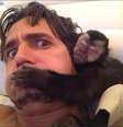<p>Latino e seu macaco, Twelves</p>  Foto: Instagram/@latinofesta / Reprodução