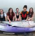 <p>Charlotte Chambers, Shauna Creamer, Hannah Ford, Sarah Little e Laura Pickervance encontraram o peixe flutuando em Kingsand</p>  Foto: Claire Wallerstein / BBC News Brasil
