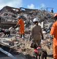 <p>Cães farejadores também foram usados para tentar encontrar as vítimas</p>  Foto: Jadison Simões / Futura Press
