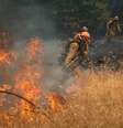 Cerca de 20% do fogo foi controlado. Ao menos 50 viaturas dos bombeiros estão no local   Foto: Max Whittaker / Reuters