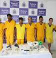 Integrantes de quadrilha comandada de dentro do presídio são apresentados após a prisão em Salvador  Foto: Denarc/BA / Divulgação
