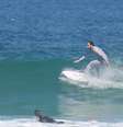 <p>Astros arriscaram v&aacute;rias manobras</p>  Foto: Dilson Silva / AgNews