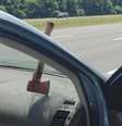 <p>Motorista do caminhão, um paisagista, foi multado em cerca de R$ 454, por trafegar com carga perigosa e não protegida</p>  Foto: Facebook / Reprodução