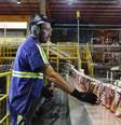 <p>Cadeia produtiva da cerveja paga R$ 21,6 bilh&otilde;es&nbsp;em sal&aacute;rios por ano</p><p>&nbsp;</p>  Foto: Ambev / Divulgação