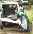 <p>Funcion&aacute;rios da &aacute;rea m&eacute;dica carregam corpo de v&iacute;tima do Ebola em Serra Leao</p>  Foto: Umaru Fofana / Reuters
