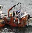 Destroços de avião foram "pescados" por rede de barco  Foto: Chris Gorman/New Zealand Herald / AP