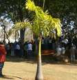 <p>Trabalhadores participam de assembleia realizada na quinta-feira</p>  Foto: Jefferson Barros / vc repórter
