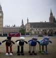  Foto: Matthew Knight / AP