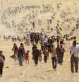 <p>Deslocados da minoria Yazidi fogem&nbsp;da viol&ecirc;ncia das for&ccedil;as leais ao Estado Isl&acirc;mico na cidade de&nbsp;Sinjar, em 10&nbsp;de agosto</p>  Foto: Rodi Said / Reuters