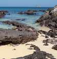 As viagens da Un-Cruise para as Ilhas Galápagos ocorrem entre fevereiro e novembro de 2016  Foto: jele/Shutterstock