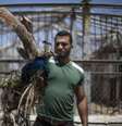 Funcionários do zoológico mostra pavão morto em meio aos ataques israelenses em Gaza  Foto: Al Jazeera / Reprodução