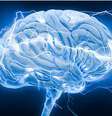 <p>Um grupo de cientistas tem estudado a possibilidade de selecionar e apagar certos conteúdos de memória, usando apenas a luz</p>  Foto: Thinkstock