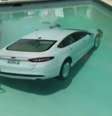 <p>Carro mergulhou em piscina ap&oacute;s motorista de 85 anos perder&nbsp;o controle da dire&ccedil;&atilde;o</p>  Foto: Youtube / Reprodução
