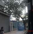 <p>Veículos na calçada prejudicam a circulação de pedestres na rua Araújo Leitão</p>  Foto: José Carlos Pereira de Carvalho / vc repórter