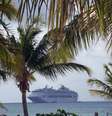 <p>Menus a bordo do Regal Princess em novembro terão especialidades baseadas na culinária e bebidas do Caribe</p>  Foto: Oskar SCHULER/Shutterstock