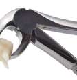 O odontoma é um tumor dentário benigno que desenvolve vários pequenos dentes em uma única cavidade da gengiva  Foto: hightowernrw / Shutterstock