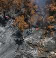 <p>Fluxo de lava do vulc&atilde;o&nbsp;Kilauea, em&nbsp;Pahoa, Hava&iacute;</p>  Foto: U.S. Geological Survey / AP
