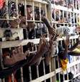 <p>Familiares temem que situação provoque rebelião em presídios</p>  Foto: Reprodução