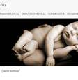 <p>O site Voto Católico busca candidatos que sigam a religião para apoiar</p>  Foto: Reprodução