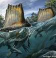 <p>O espinossauro é o maior animal carnívoro conhecido e se alimentaria de tubarões e peixes gigantes</p>  Foto: Davide Bonadonna / National Geographic