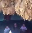 <p>"Quem vamos decapitar primeiro?", diz o homem que grava o vídeo</p>  Foto: Youtube / Reprodução