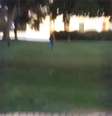 Vídeo registra momento em que o homem invadiu a Casa Branca  Foto: Facebook / Reprodução