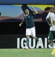 Palmeiras é o lanterna do Campeonato Brasileiro  Foto: Adalberto Marques / AGIF / Gazeta Press