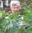 <p>Patricia Hewitson colocou uma foto da planta nas redes sociais</p>  Foto: BBC News Brasil