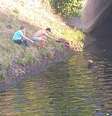 <p>A idosa foi parar no rio após cair de uma ponte no centro de Cardiff</p>  Foto: Daily Mirror / Reprodução