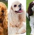  Foto: iStock