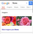 Novo mecanismos de buscas deixa mais "leve" o acesso para o usuário de dispositivos móveis com conexões ruins   Foto: Google / Divulgação