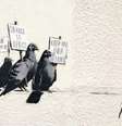 <p>Mural do artista Banksy foi apagado por autoridades da cidade de Clacton on Sea</p>  Foto: AP