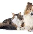 Foto: iStock