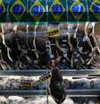 <p>Pre&ccedil;o das carnes teve alta de&nbsp;3,46% em novembro, segundo o IBGE</p>  Foto: Nacho Doce / Reuters