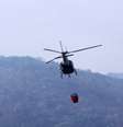 <p>Serra da Cantareira pegou fogo nasegunda e combate às chamas foi longo</p>  Foto: Thiago Domingos / Futura Press