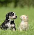  Foto: Carosch  / iStock