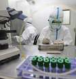 <p>Uma empresa farmacêutica chinesa enviou uma droga experimental para a África nesta quinta-feira e planeja realizar testes </p>  Foto: China Daily / Reuters